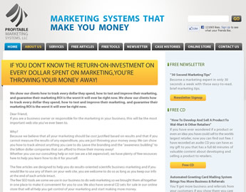 Profitable Marketing Systems